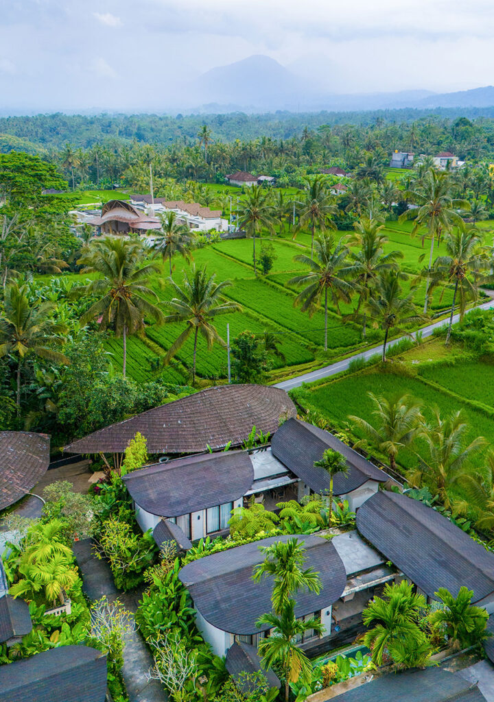 Daun Lebar Villas Ubud